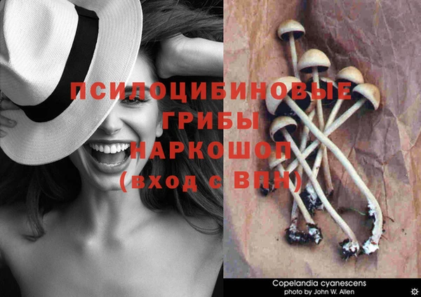 гидра Баксан