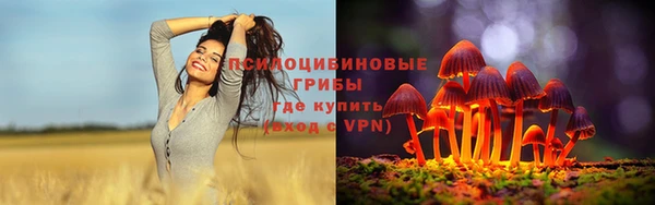 spice Балабаново