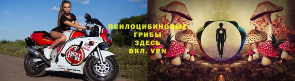 spice Балабаново
