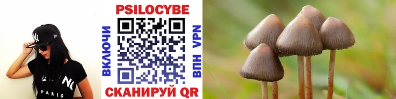 blacksprut как зайти  закладка  Елизово  Псилоцибиновые грибы Psilocybine cubensis 